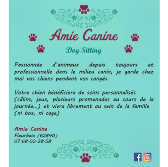 Partenaire Amie Canine